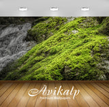 Avikalp Exclusive Premium moss HD Wallpapers for Living room, Hall, Kids Room, Kitchen, TV Backgroun