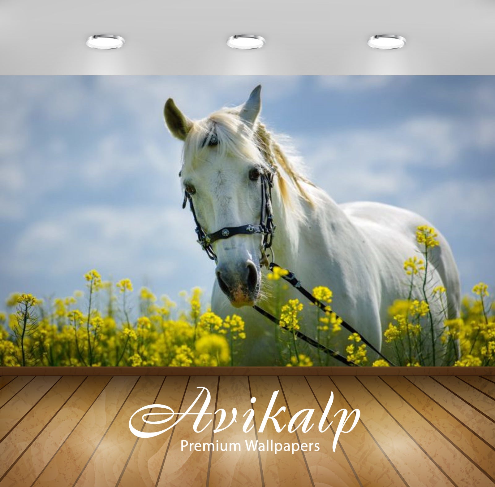 Avikalp Exclusive Awi2224 Horse in field with yellow flowers meadow Full HD Wallpapers for Living ro