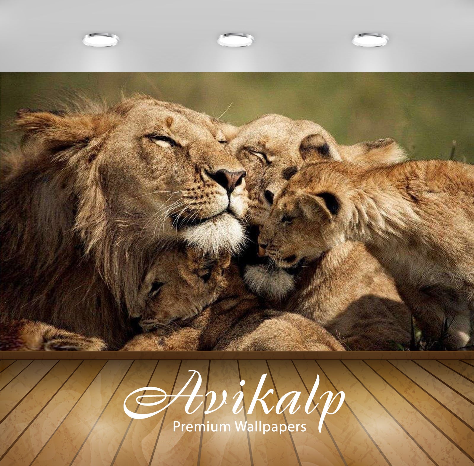 Avikalp Exclusive Awi2235 Lions love a family of lion Full HD Wallpapers for Living room, Hall, Kids
