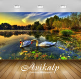 Avikalp Exclusive Awi2241 Swan Lake birds Full HD Wallpapers for Living room, Hall, Kids Room, Kitch