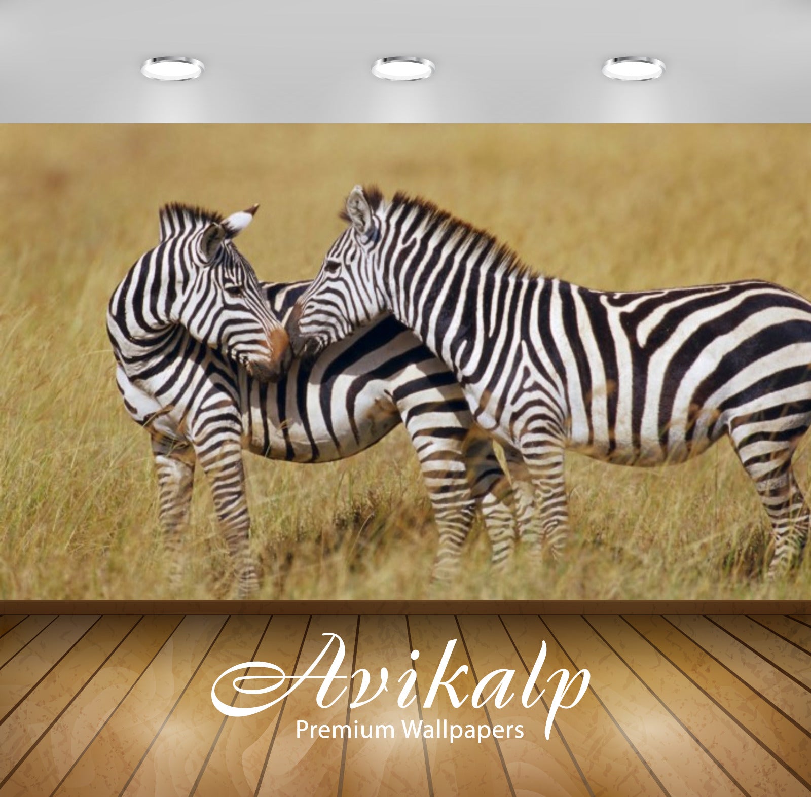 Avikalp Exclusive Awi2371 Animals Couple Zebras Full HD Wallpapers for Living room, Hall, Kids Room,