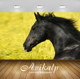Avikalp Exclusive Awi2372 Animals Black Horse In Close Up Head Bracelet Green Grass Full HD Wallpape