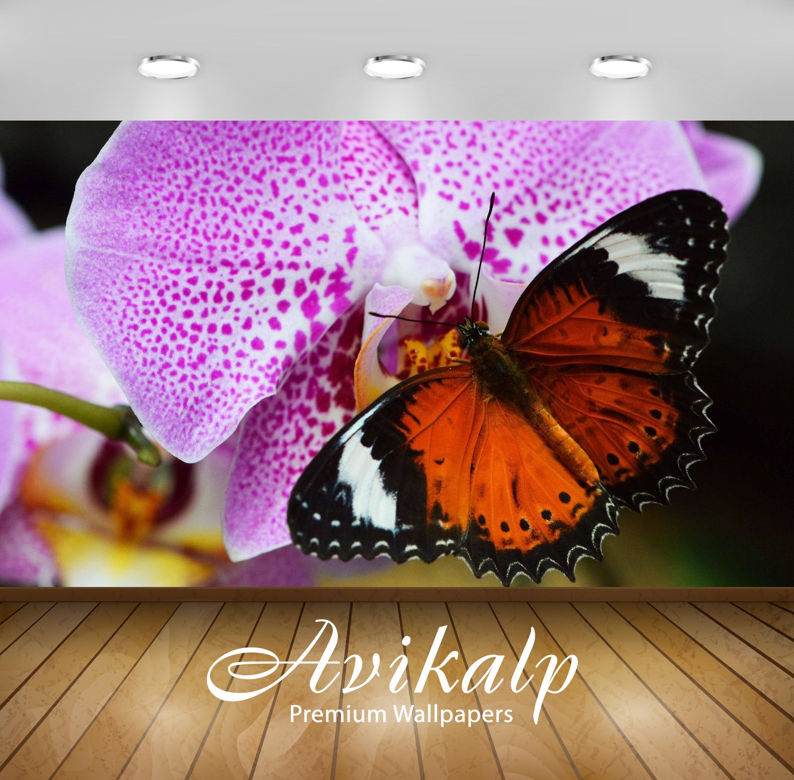 Avikalp Exclusive Awi2373 Animals Insect Orange Butterfly Orchid Purple Full HD Wallpapers for Livin