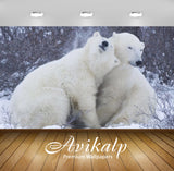 Avikalp Exclusive Awi2374 Animals Lying Around Two Polar Bears Full HD Wallpapers for Living room, H
