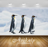 Avikalp Exclusive Awi2375 Animals Of Antarctica Penguins Marching Through The Snow Full HD Wallpaper