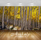 Avikalp Exclusive Awi2399 Autumn Yellow Of Aspen Trees National Forest Gunnison Near Lake City Full