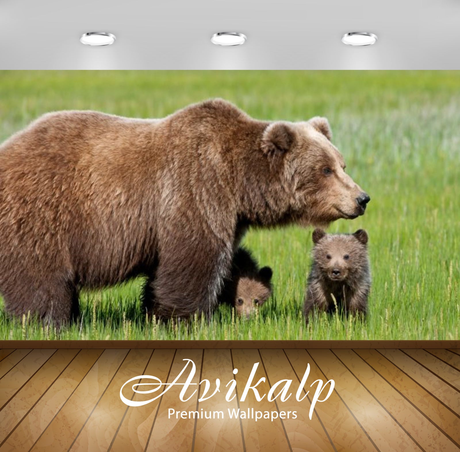 Avikalp Exclusive Awi2419 Bear With Two Young Cubs In A Field Of Green Grass Full HD Wallpapers for