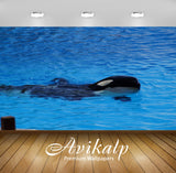 Avikalp Exclusive Premium orca HD Wallpapers for Living room, Hall, Kids Room, Kitchen, TV Backgroun