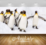 Avikalp Exclusive Awi2420 Beautiful Animals In The Antarctic King Penguin Aptenodytes Patagonicus Fu