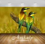 Avikalp Exclusive Awi2423 Beautiful Colorful Birds On A Branch Full HD Wallpapers for Living room, H