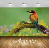 Avikalp Exclusive Awi2424 Beautiful Colorful Birds On Branch Dry Full HD Wallpapers for Living room,