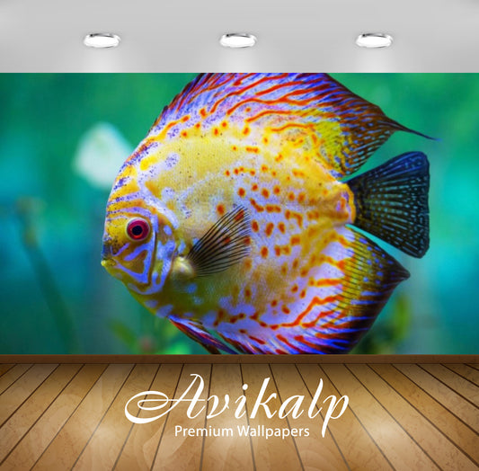 Avikalp Exclusive Awi2437 Beautiful Yellow Sea Fish Full HD Wallpapers for Living room, Hall, Kids R