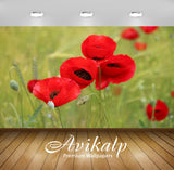 Avikalp Exclusive Premium papaver HD Wallpapers for Living room, Hall, Kids Room, Kitchen, TV Backgr