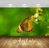 Avikalp Exclusive Awi2466 Butterfly Plain Tiger Full HD Wallpapers for Living room, Hall, Kids Room,