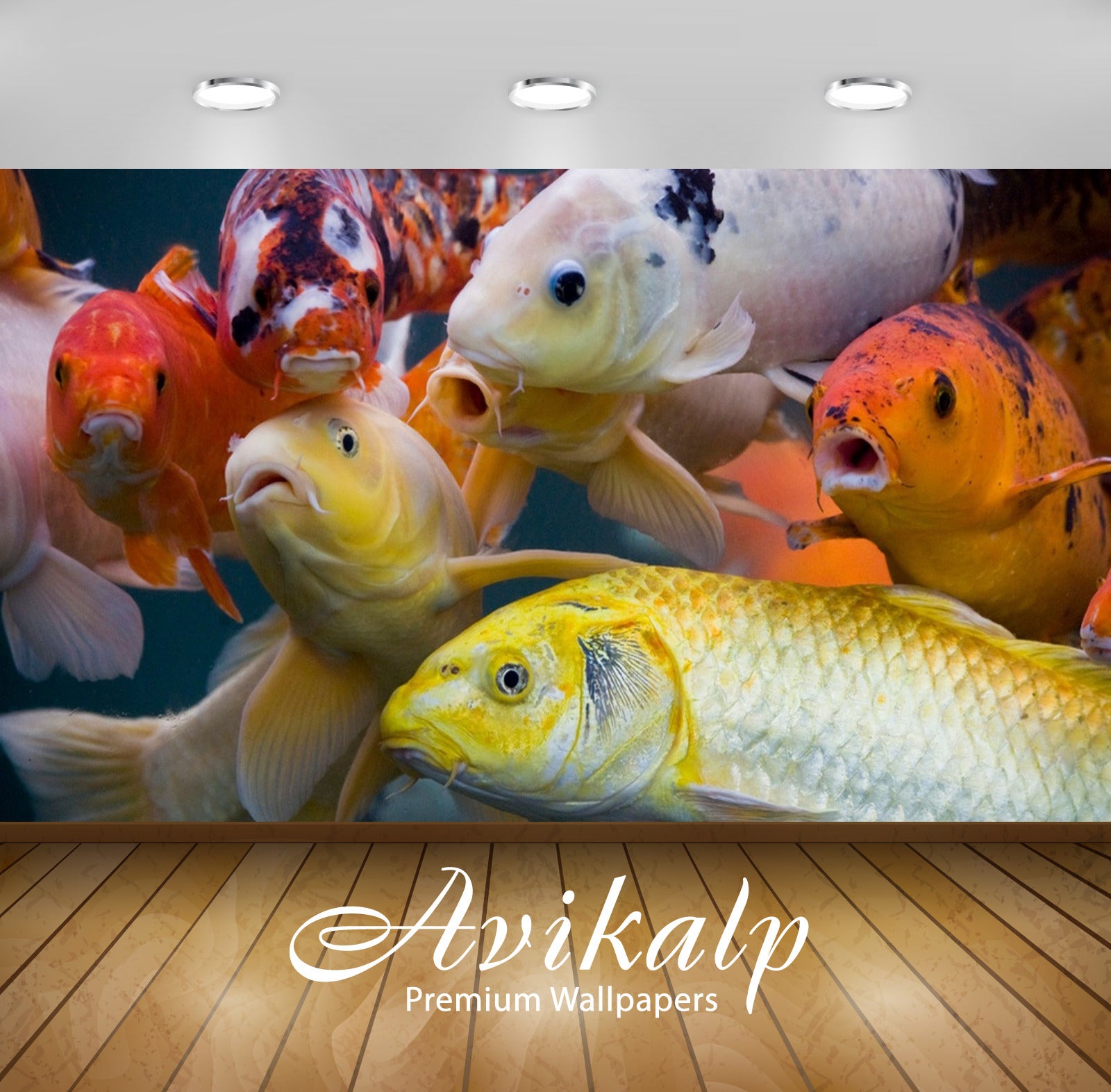Avikalp Exclusive Awi2511 Colorful Fish Full HD Wallpapers for Living room, Hall, Kids Room, Kitchen