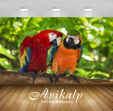 Avikalp Exclusive Awi2516 Colorful Parrots Ara Costa Rica Rainforest Full HD Wallpapers for Living r