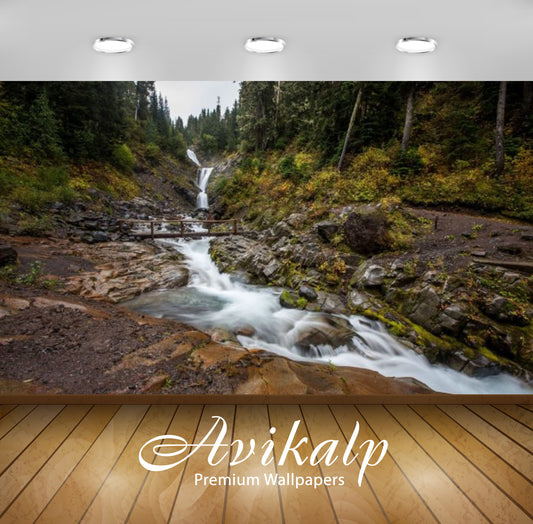 Avikalp Exclusive Awi2520 Comet Falls Van Tramp Creek In Pearson County Mount Rainier National Park