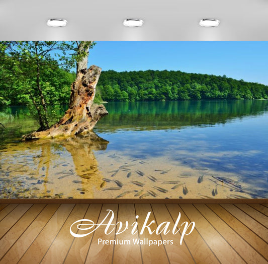 Avikalp Exclusive Awi2533 Croatia Spring In Plitvice Plitvice Lakes Clear Water Green Forest Blue Sk
