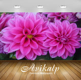 Avikalp Exclusive Awi2543 Dahlias Flower Full HD Wallpapers for Living room, Hall, Kids Room, Kitche