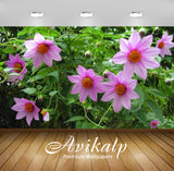 Avikalp Exclusive Awi2544 Dalia Tenuicaulis Beautiful Pink Flowers Full HD Wallpapers for Living roo