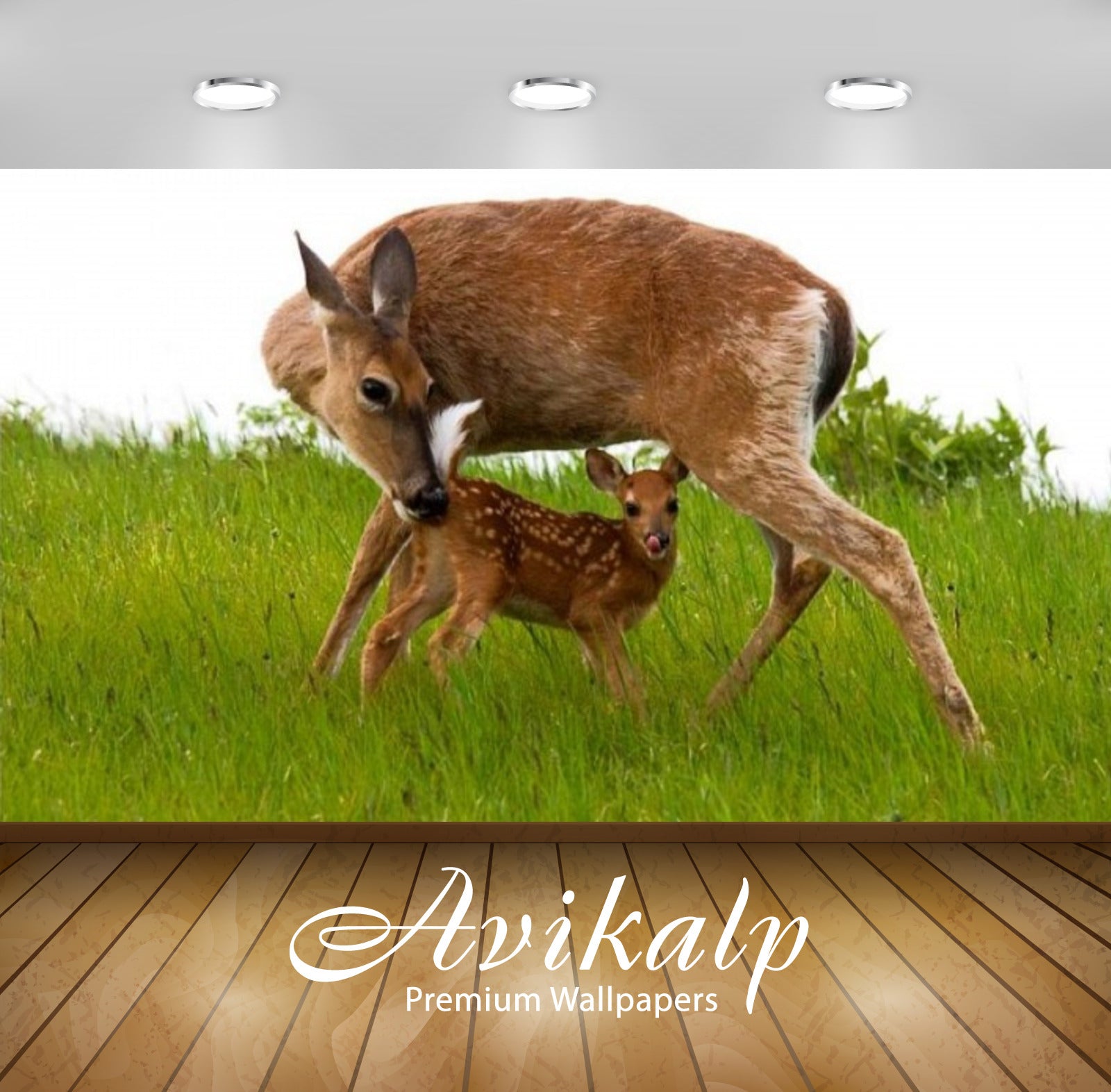 Avikalp Exclusive Awi2563 Doe And Her Baby Full HD Wallpapers for Living room, Hall, Kids Room, Kitc
