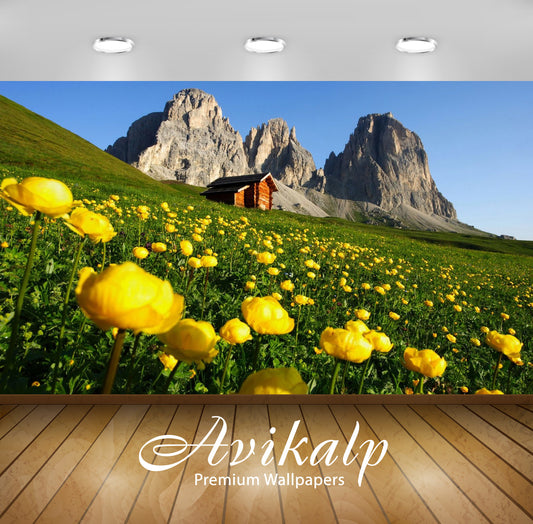 Avikalp Exclusive Awi2565 Dolomite Pale Mountains Monti Palides Trentino Italy Nature Landscape Full