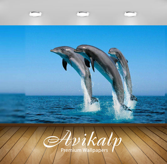 Avikalp Exclusive Awi2570 Dolphins Jump In The Air To The Caribbean Sea Summer Full HD Wallpapers fo