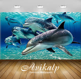 Avikalp Exclusive Awi2573 Dolphins Full HD Wallpapers for Living room, Hall, Kids Room, Kitchen, TV