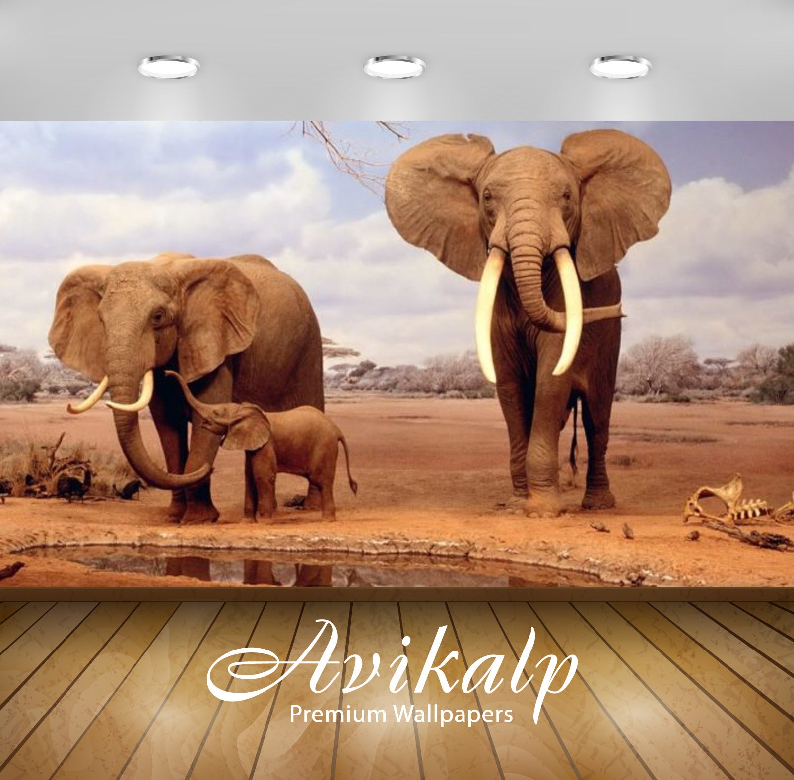 Avikalp Exclusive Awi2589 Elephants African Safari Full HD Wallpapers for Living room, Hall, Kids Ro