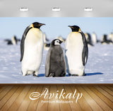 Avikalp Exclusive Awi2590 Emperor Penguin Aptenodytes Forsteri Two Adults Penguins Male And Female W