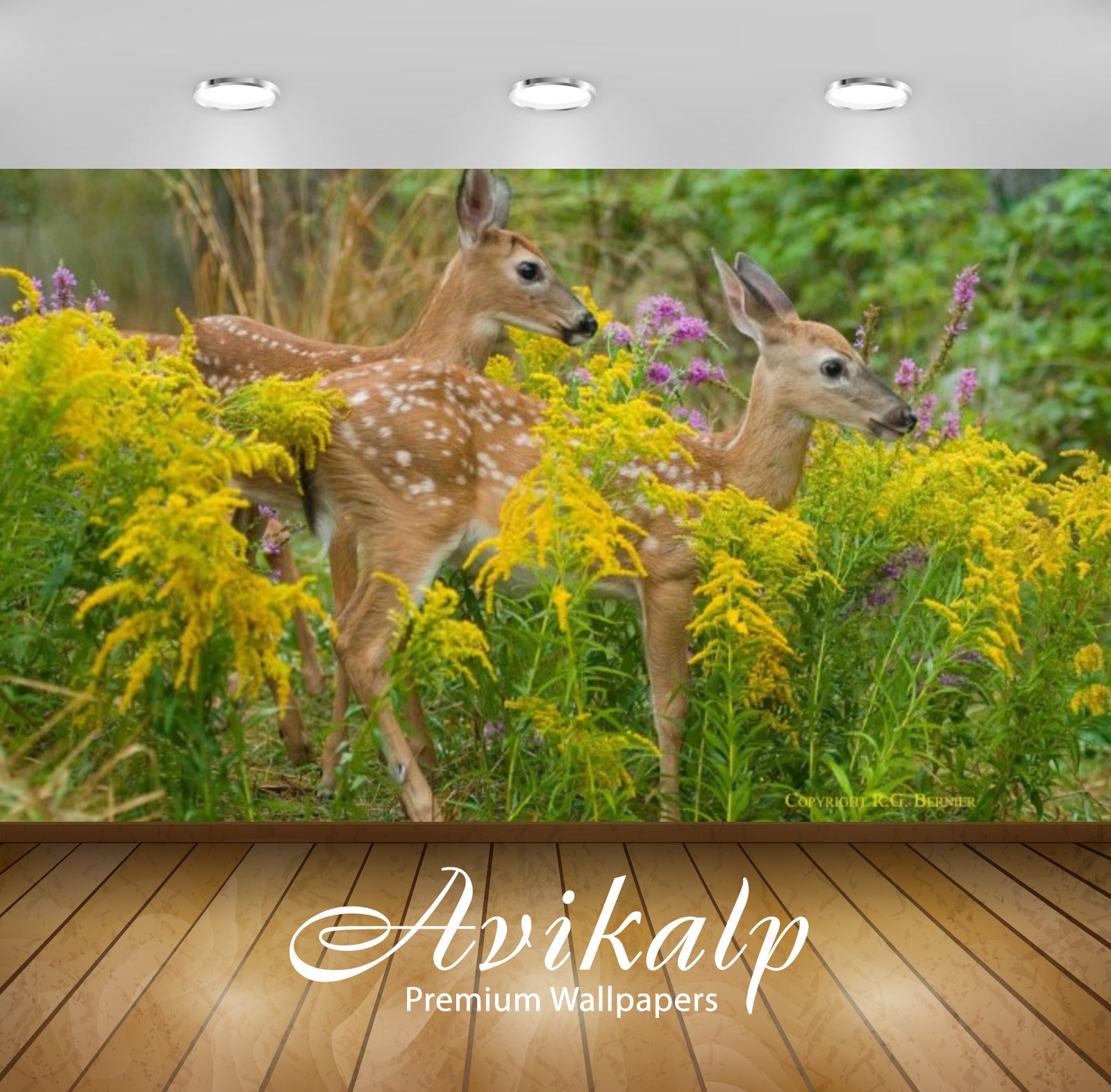Avikalp Exclusive Awi2617 Fawns Full HD Wallpapers for Living room, Hall, Kids Room, Kitchen, TV Bac