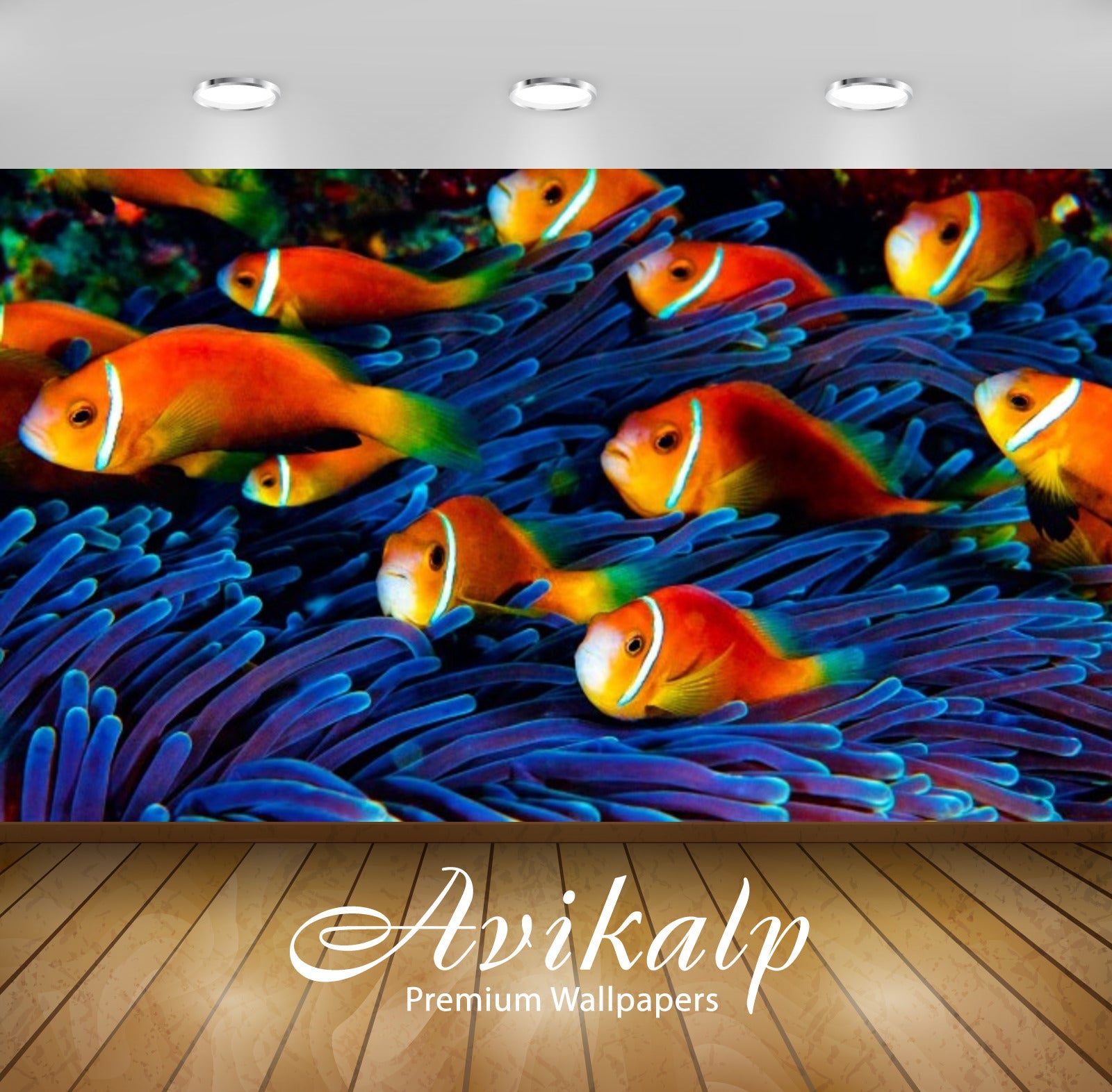Avikalp Exclusive Awi2626 Fish Underwater World Full HD Wallpapers for Living room, Hall, Kids Room,