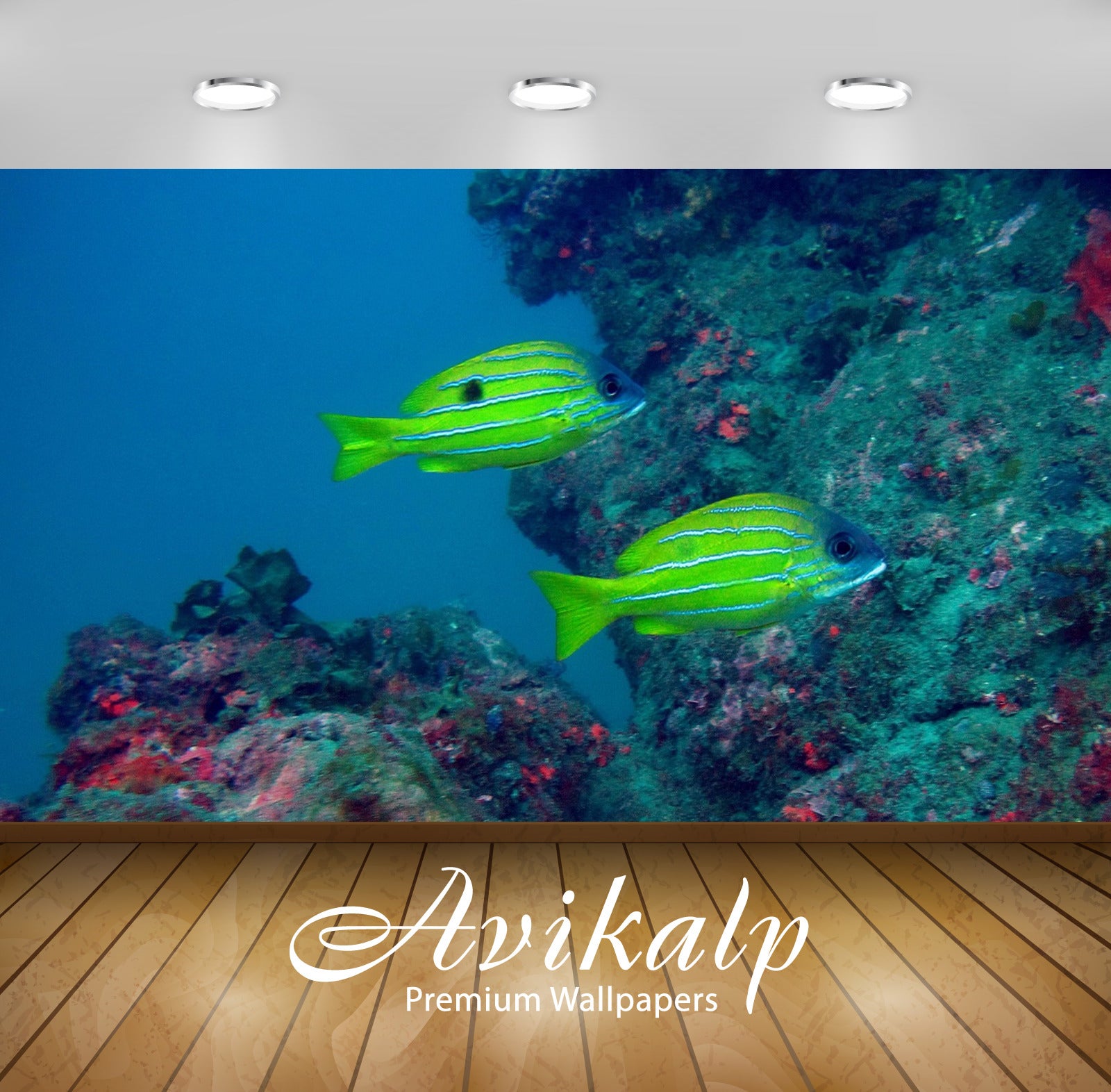 Avikalp Exclusive Awi2630 Five Lined Snapper Full HD Wallpapers for Living room, Hall, Kids Room, Ki