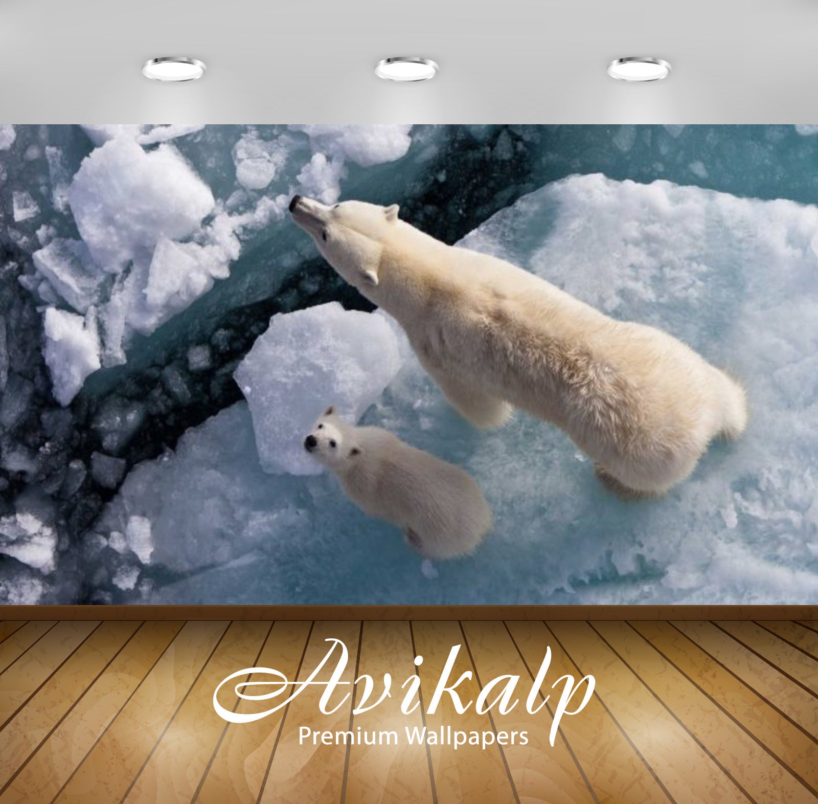 Avikalp Exclusive Awi2635 Flyovers White Polar Bear With Cub Full HD Wallpapers for Living room, Hal