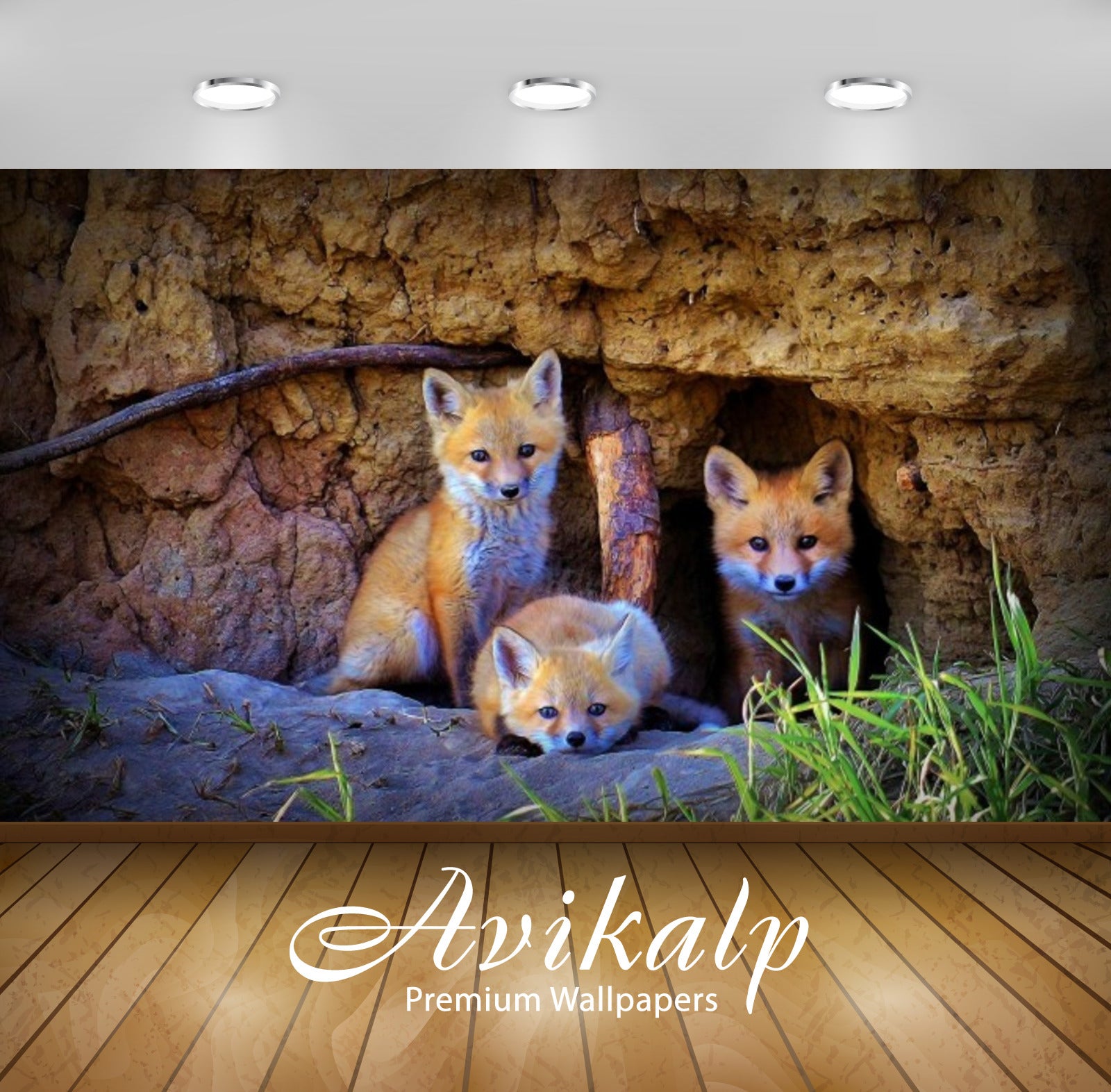 Avikalp Exclusive Awi2639 Fox Family Three Cubs Full HD Wallpapers for Living room, Hall, Kids Room,