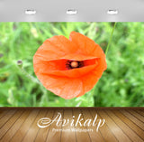 Avikalp Exclusive Premium poppy HD Wallpapers for Living room, Hall, Kids Room, Kitchen, TV Backgrou