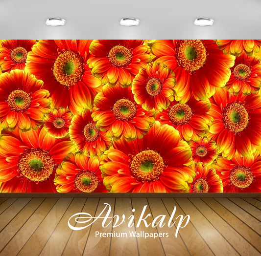 Avikalp Exclusive Awi2667 Gerbera Flowers Full HD Wallpapers for Living room, Hall, Kids Room, Kitch