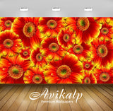 Avikalp Exclusive Awi2667 Gerbera Flowers Full HD Wallpapers for Living room, Hall, Kids Room, Kitch