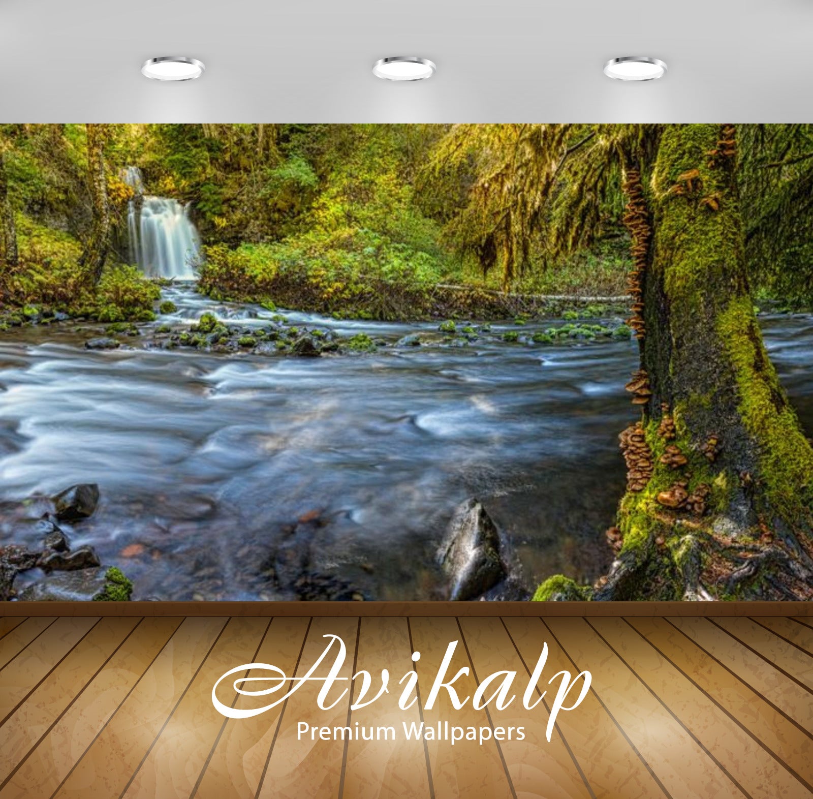 Avikalp Exclusive Awi2668 Gifford Pinchot National Forest National Park And Lewis County Washington