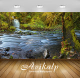 Avikalp Exclusive Awi2668 Gifford Pinchot National Forest National Park And Lewis County Washington