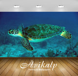Avikalp Exclusive Awi2685 Green Sea Turtle Underwater Scene Full HD Wallpapers for Living room, Hall