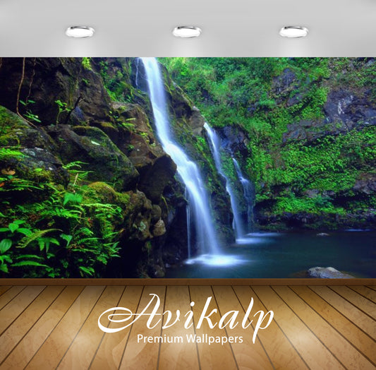 Avikalp Exclusive Awi2686 Green Waterfall Hawaii Islands Coast Rocks Green Fern Full HD Wallpapers f