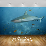 Avikalp Exclusive Awi2687 Grey Reef Shark Full HD Wallpapers for Living room, Hall, Kids Room, Kitch