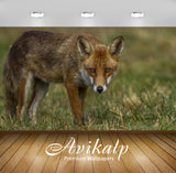 Avikalp Exclusive Awi2708 Fox Full HD Wallpapers for Living room, Hall, Kids Room, Kitchen, TV Backg