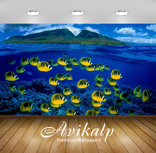 Avikalp Exclusive Awi2710 Hawaii Ocean Tropski Exotic Fish Full HD Wallpapers for Living room, Hall,