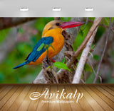 Avikalp Exclusive Awi2755 Kingfishers Feeding On A Wide Range Of Prey Fish Frogs Worms Molluscs Inse