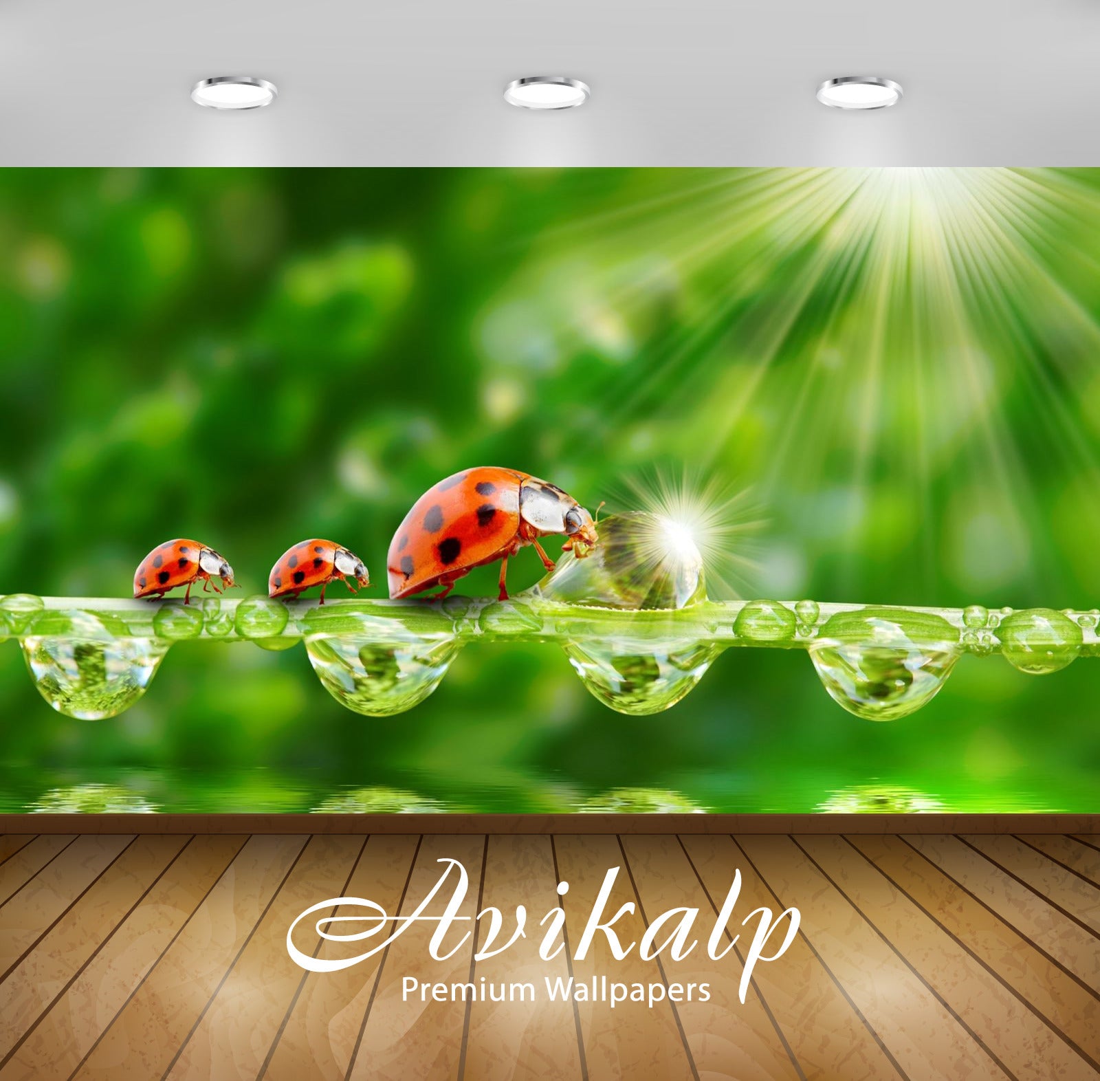 Avikalp Exclusive Awi2764 Ladybug Sun Rays Grass Morning Dew Drops Water Full HD Wallpapers for Livi