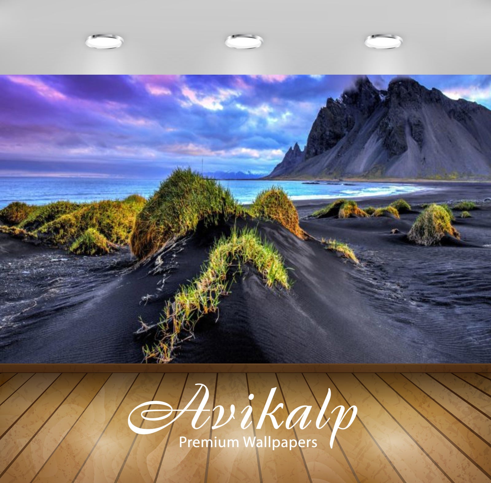 Avikalp Exclusive Awi2777 Landscape Nature Iceland Sandy Beach Grass Black Sand Sea Rocky Mountains