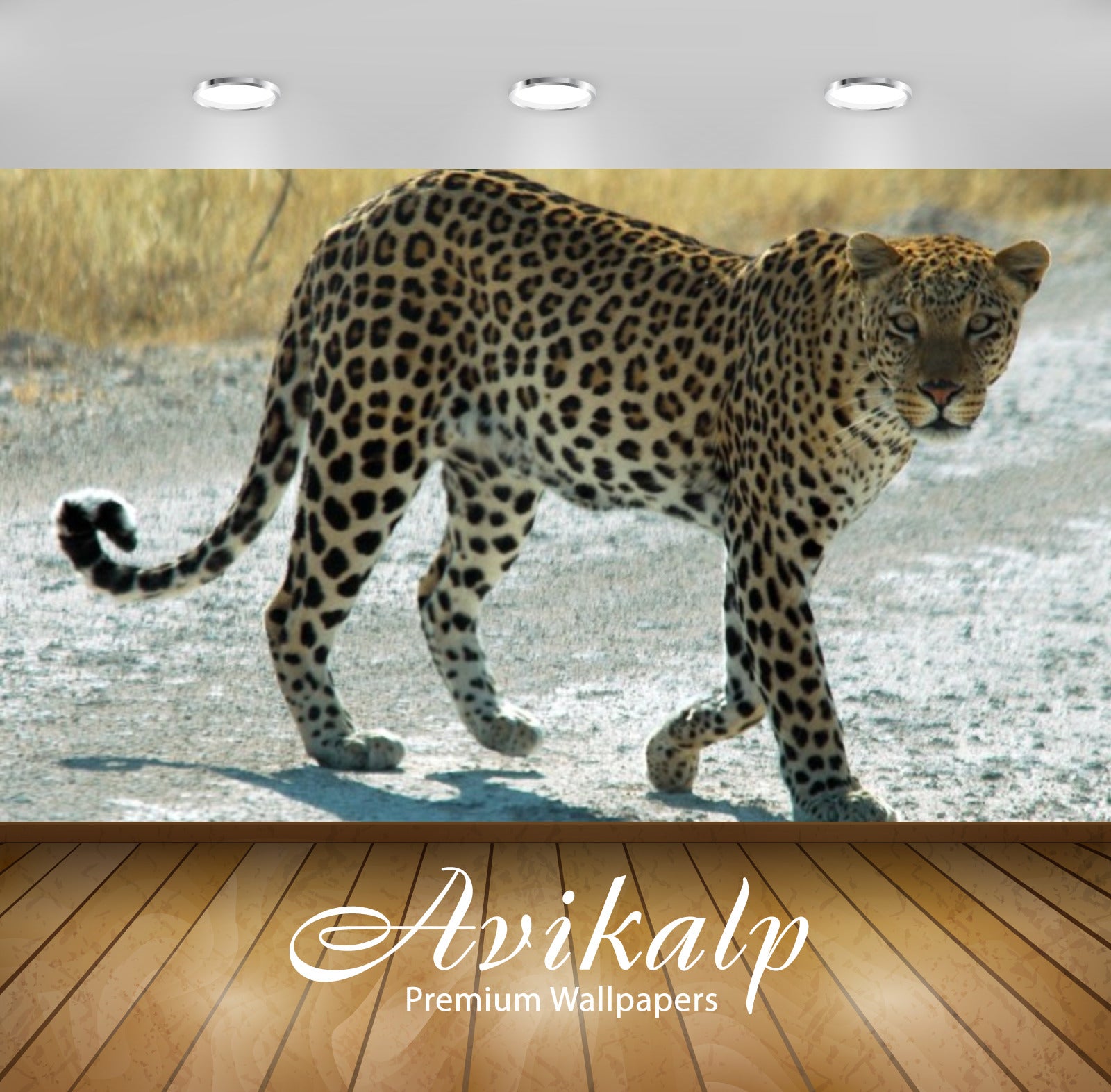 Avikalp Exclusive Awi2792 Leopard Kenya Tanzania Full HD Wallpapers for Living room, Hall, Kids Room