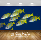 Avikalp Exclusive Awi2807 Lutjanus Kasmira Bluestripe Snapper School Raja Ampat West Papua Fish Full